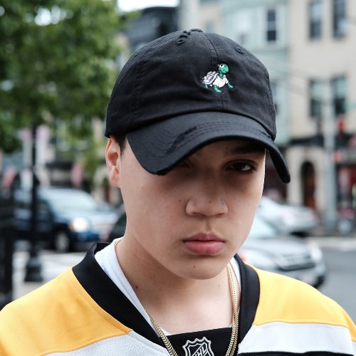 Kush Groove Turtle Dad Cap Hat - Kush Groove Clothing