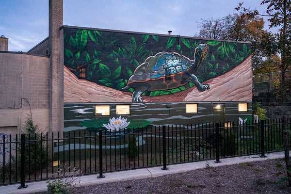 Slow & Steady Deme Mural T-Shirt - Kush Groove Clothing