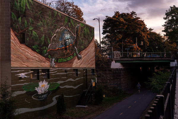 Slow & Steady Deme Mural T-Shirt - Kush Groove Clothing